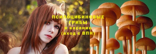 кокс Арсеньев