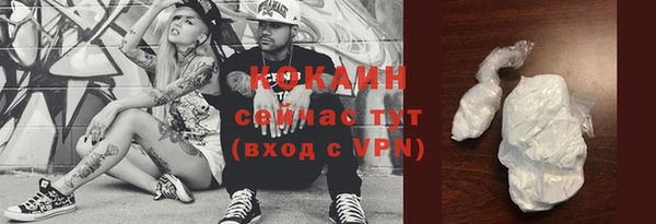 стаф Аркадак