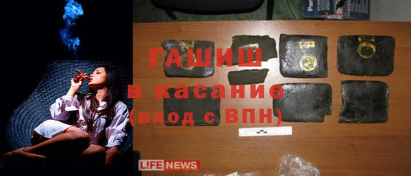 стаф Аркадак