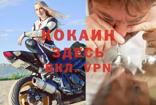 стаф Аркадак
