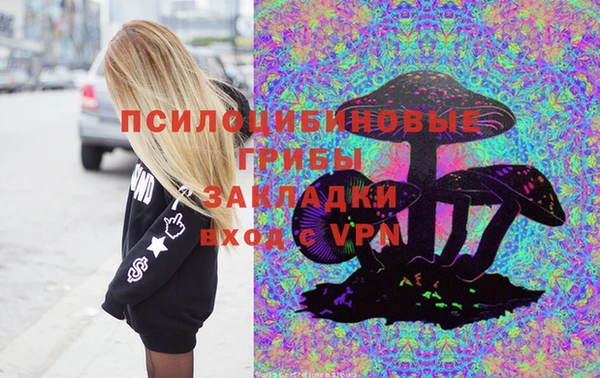 стаф Аркадак