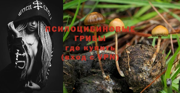 таблы Армянск